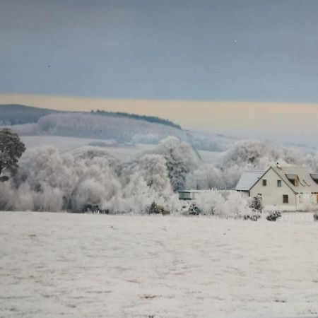 Hillhaven Bed &Breakfast Bed and Breakfast Fortrose Exteriör bild