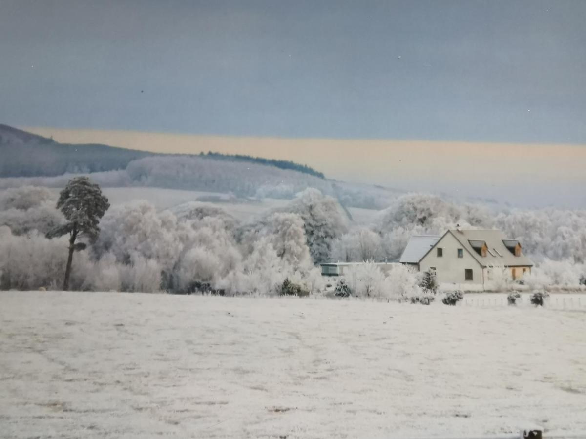Hillhaven Bed &Breakfast Bed and Breakfast Fortrose Exteriör bild