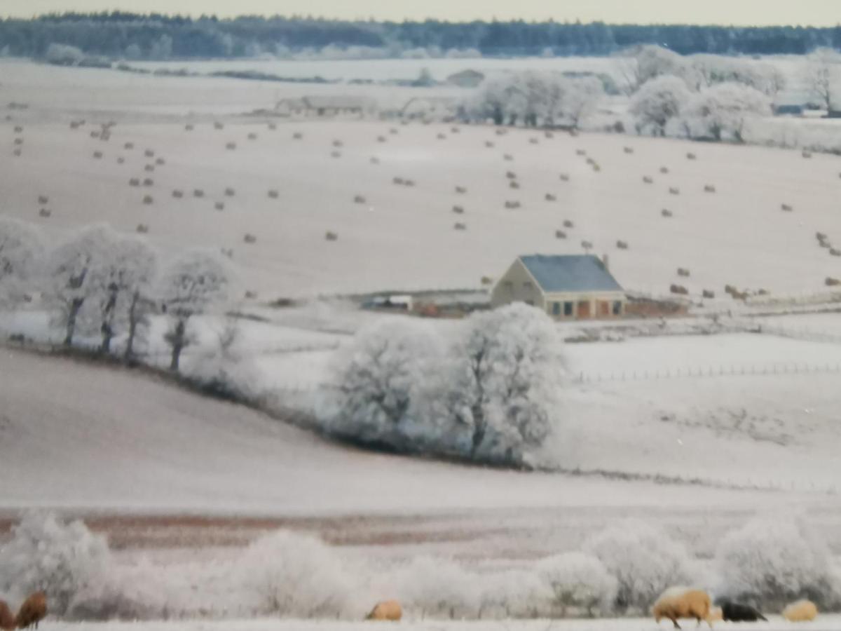 Hillhaven Bed &Breakfast Bed and Breakfast Fortrose Exteriör bild